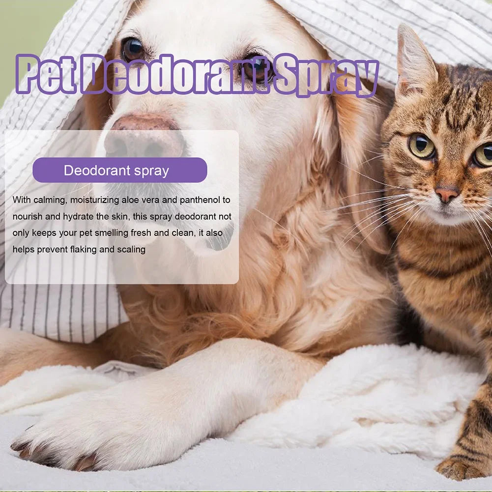 Spray desodorizante de óleo de lavanda para cães, spray desodorizante de longa duração para cães, filhotes, gatos, cães, para remover odores desagradáveis, refrescar o ar
