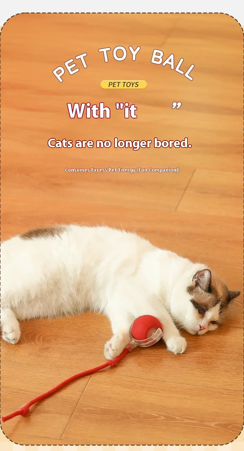 Brinquedos inteligentes interativos para gatos, bola elétrica com rolamento automático para gatos, gatinhos, animais de estimação, treinamento automático, brinquedo recarregável por USB