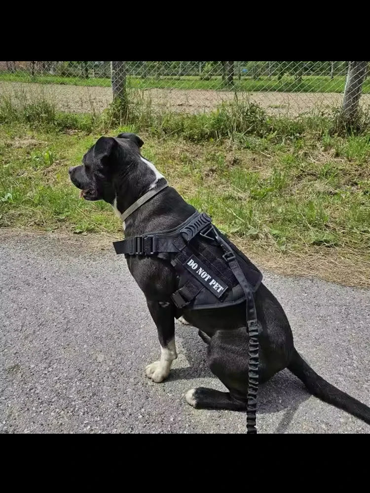 Coleira grande para cachorro, peitoral militar para cachorro, coleira Molle, bolsas, colete de treinamento para animais de estimação, peitorais táticos para pastor alemão, acessórios para cães