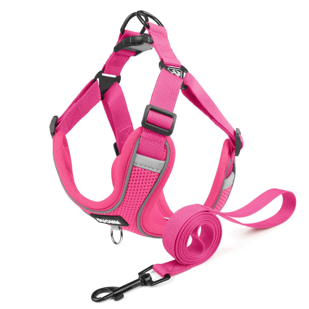Conjunto de coleira para cães, pequeno, médio, cão, gato, peitoral ajustável, refletivo, respirável, colete de treinamento para caminhada, acessórios para animais de estimação