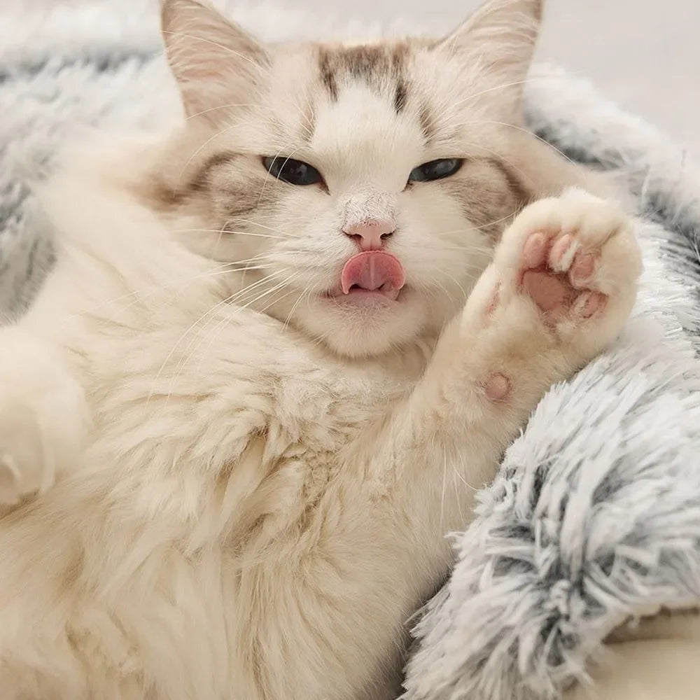Cama de pelúcia longa e macia para animais de estimação, fechada, redonda, almofada para gatos, confortável, saco de dormir, ninho para gatos, canil para pequenos animais de estimação