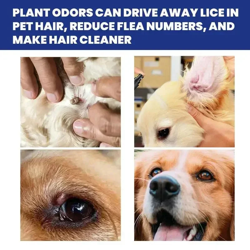 Spray removedor de pulgas para cães e gatos Limpeza da pele de animais de estimação Repelente externo de piolhos Carrapatos Spray para alívio e alívio