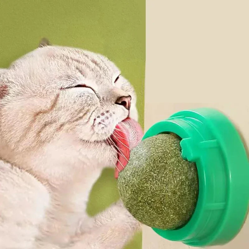Brinquedo adesivo de parede para gatos Catnip, bola arranhadora, petiscos saudáveis ​​e naturais, remove bolas para promover a digestão, petisco de grama para gatos