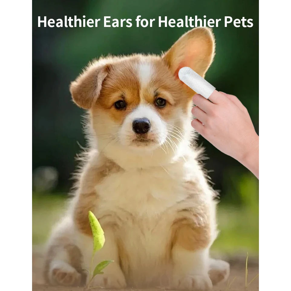 Produtos de limpeza para animais de estimação Lenços umedecidos para limpeza de orelhas Pontas dos dedos para cuidados com as orelhas Remoção de ácaros Produtos para limpeza de orelhas de cães e gatos