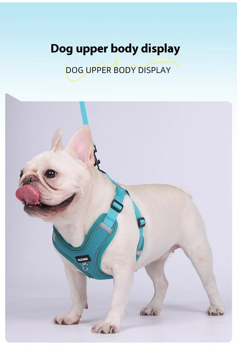 Conjunto de coleira para cães, pequeno, médio, cão, gato, peitoral ajustável, refletivo, respirável, colete de treinamento para caminhada, acessórios para animais de estimação