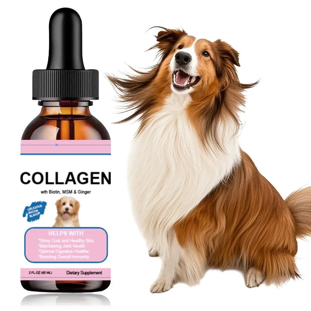 Gotas de colágeno para animais de estimação para cães e gatos, suplemento nutricional saudável que protege a pelagem e melhora a condição corporal, solução nutricional para animais de estimação