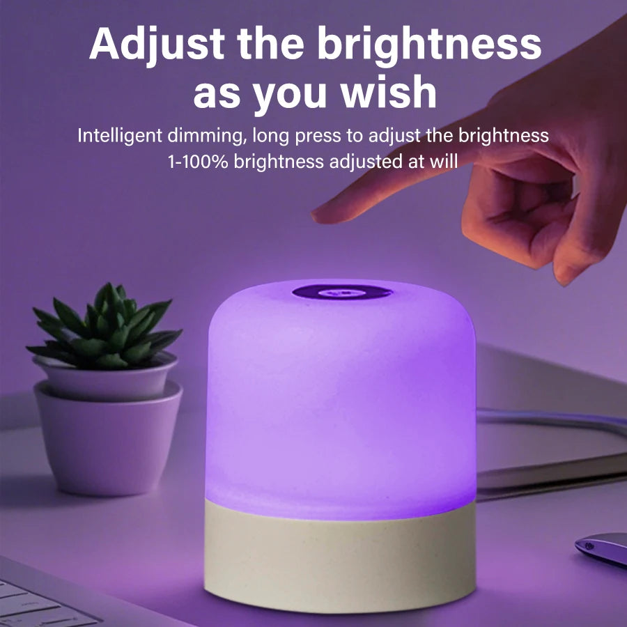 Lâmpada noturna LED sensível ao toque, USB, recarregável, regulável, de cabeceira, para decoração de quarto, presente de Natal, lâmpada noturna infantil