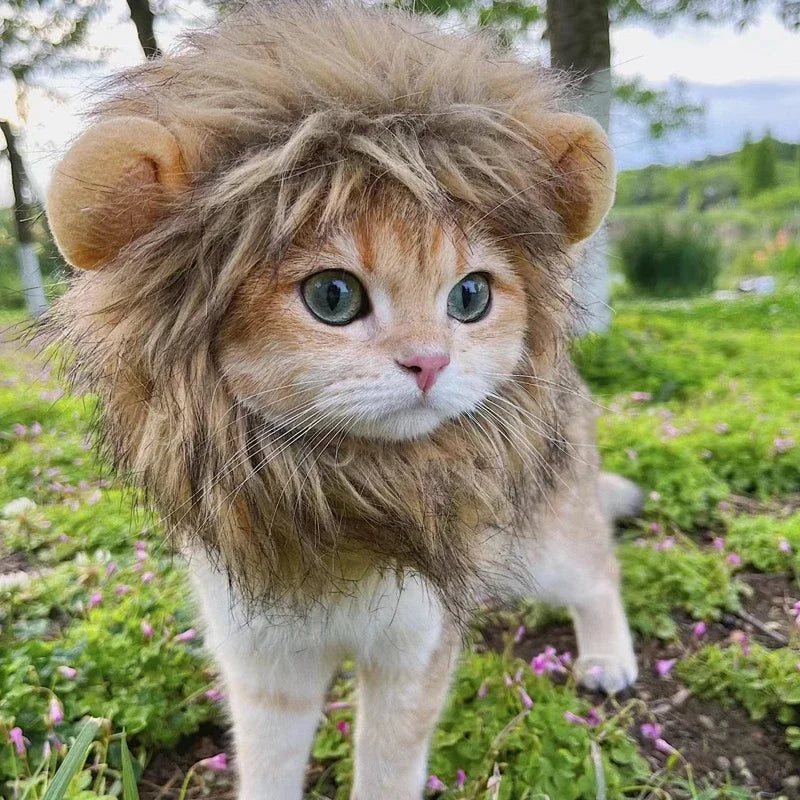 Novos animais de estimação engraçados e fofos, roupas, boné, peruca de gato fofa, juba de leão, fantasia, cosplay, gatinho, cachorro, chapéu com orelhas, artigos para festa chiques