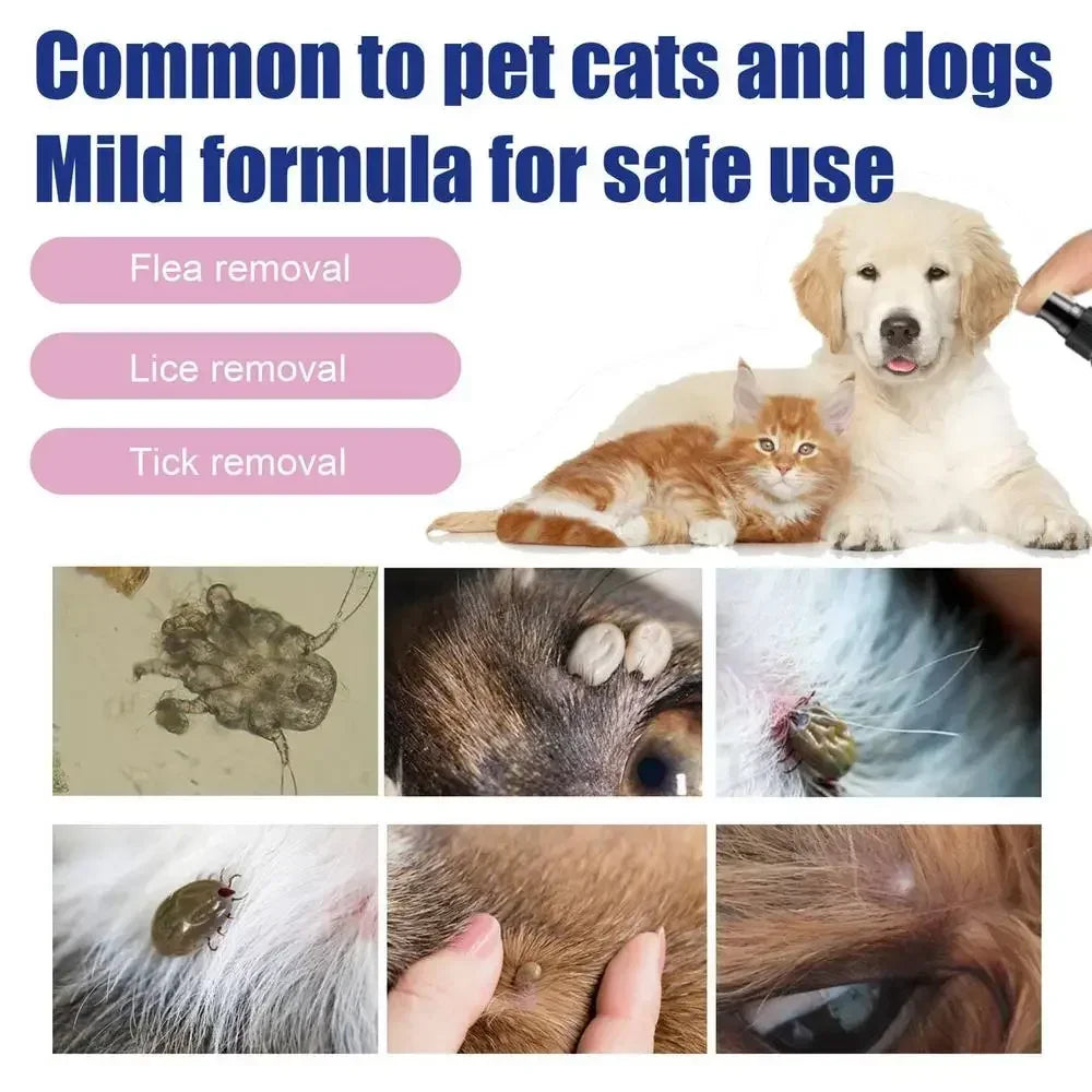 Spray removedor de pulgas para cães e gatos Limpeza da pele de animais de estimação Repelente externo de piolhos Carrapatos Spray para alívio e alívio