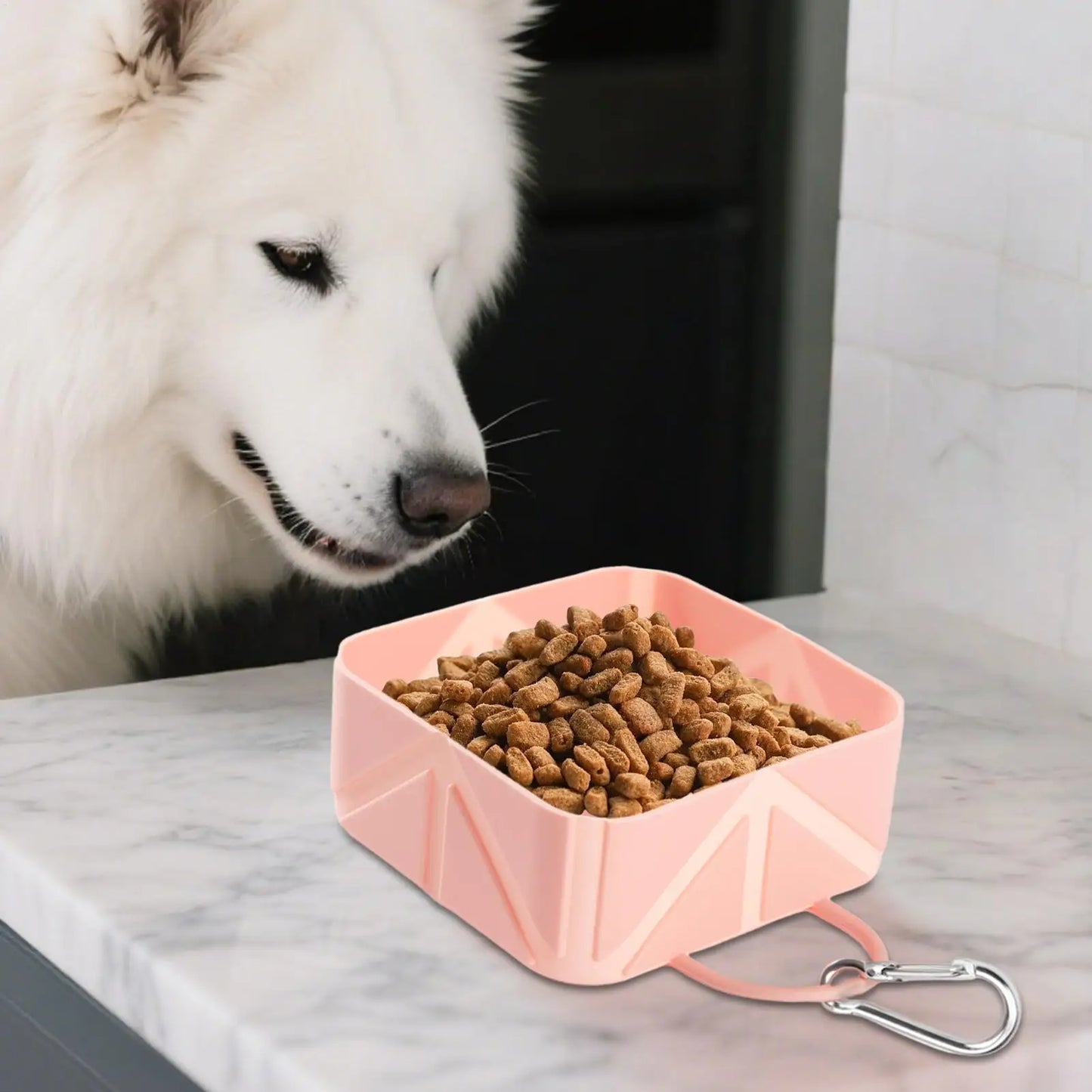 Foldable Dog Bowl 500ml Pet Food Container Dog food and water Feeder manual Pets Food dispenser for Puppy Kitten Car