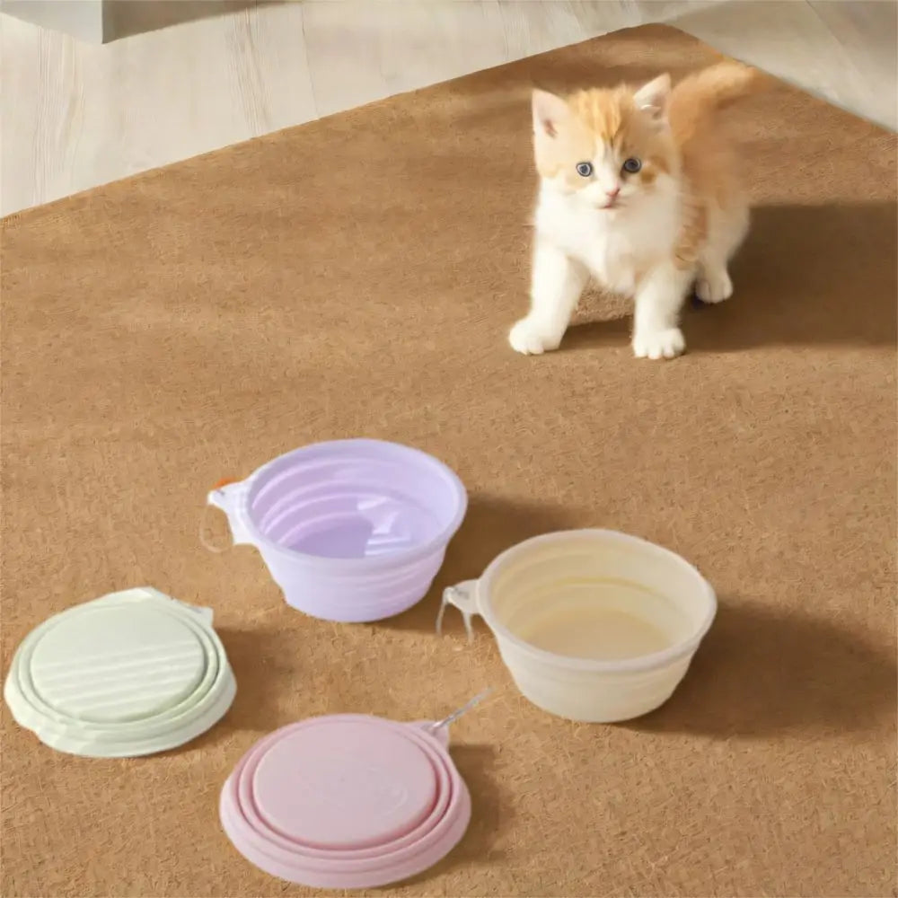 Tigela de macaron para animais de estimação 350ml TPE com padrão de desenho animado, tigela de alimentação para filhotes dobrável com furos para pendurar, tigela portátil para animais de estimação para cães e gatos