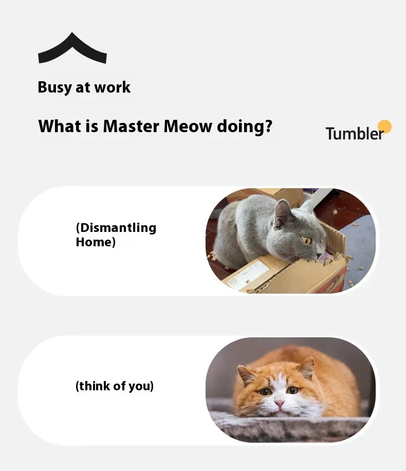 Brinquedos inteligentes interativos para gatos, bola elétrica com rolamento automático para gatos, gatinhos, animais de estimação, treinamento automático, brinquedo recarregável por USB