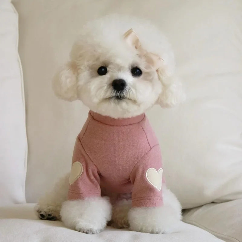 Nova camisa para gatos e animais de estimação, roupas quentes para cães e gatos, designer de base, urso de pelúcia fofo, moletom com capuz Yorkshire, roupas para filhotes MWTJK01