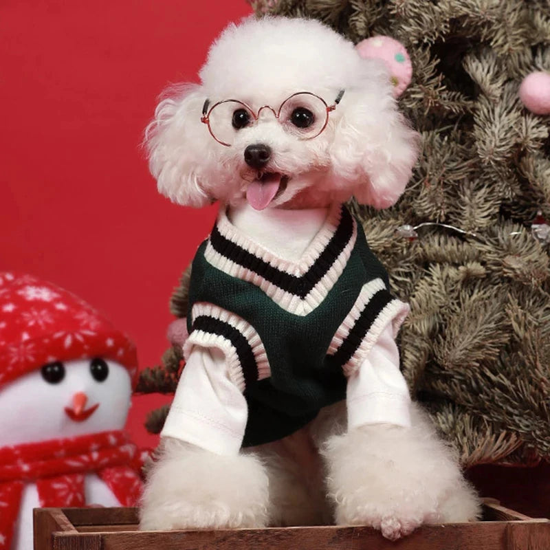 Winter Warm Pet Dog Sweater College Style V-neck Puppy Knitwear for Small Large Doggy Coat French Bulldog Vest Chihuahua Clothes