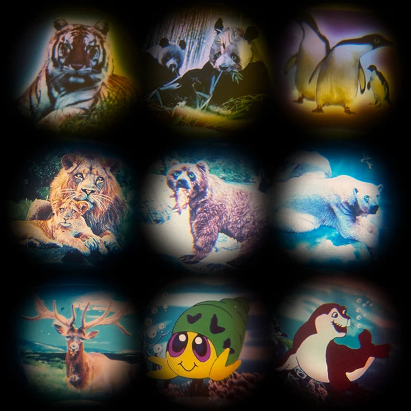 5 peças Mini Câmera de Brinquedo com Padrão Animal de Desenho Animado para Crianças Festa de Aniversário Lembrancinha de Carnaval Presente Menino Menina Recompensa Escolar Recheio de Guloseimas