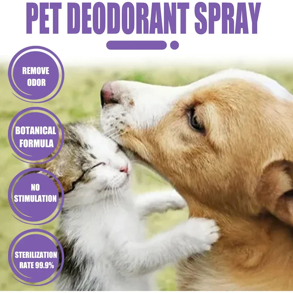Spray desodorizante de óleo de lavanda para cães, spray desodorizante de longa duração para cães, filhotes, gatos, cães, para remover odores desagradáveis, refrescar o ar