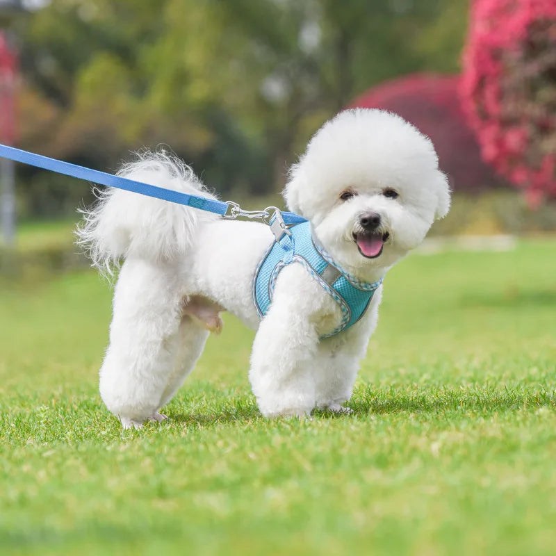 Outdoor Walking Pincher Dog Harness and Leash Set for Small Medium Dogs Chihuahua mascotas Vest Harnesses Pomerian Accessories