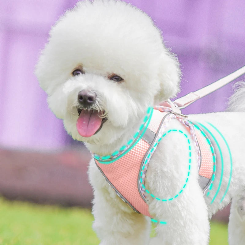 Outdoor Walking Pincher Dog Harness and Leash Set for Small Medium Dogs Chihuahua mascotas Vest Harnesses Pomerian Accessories