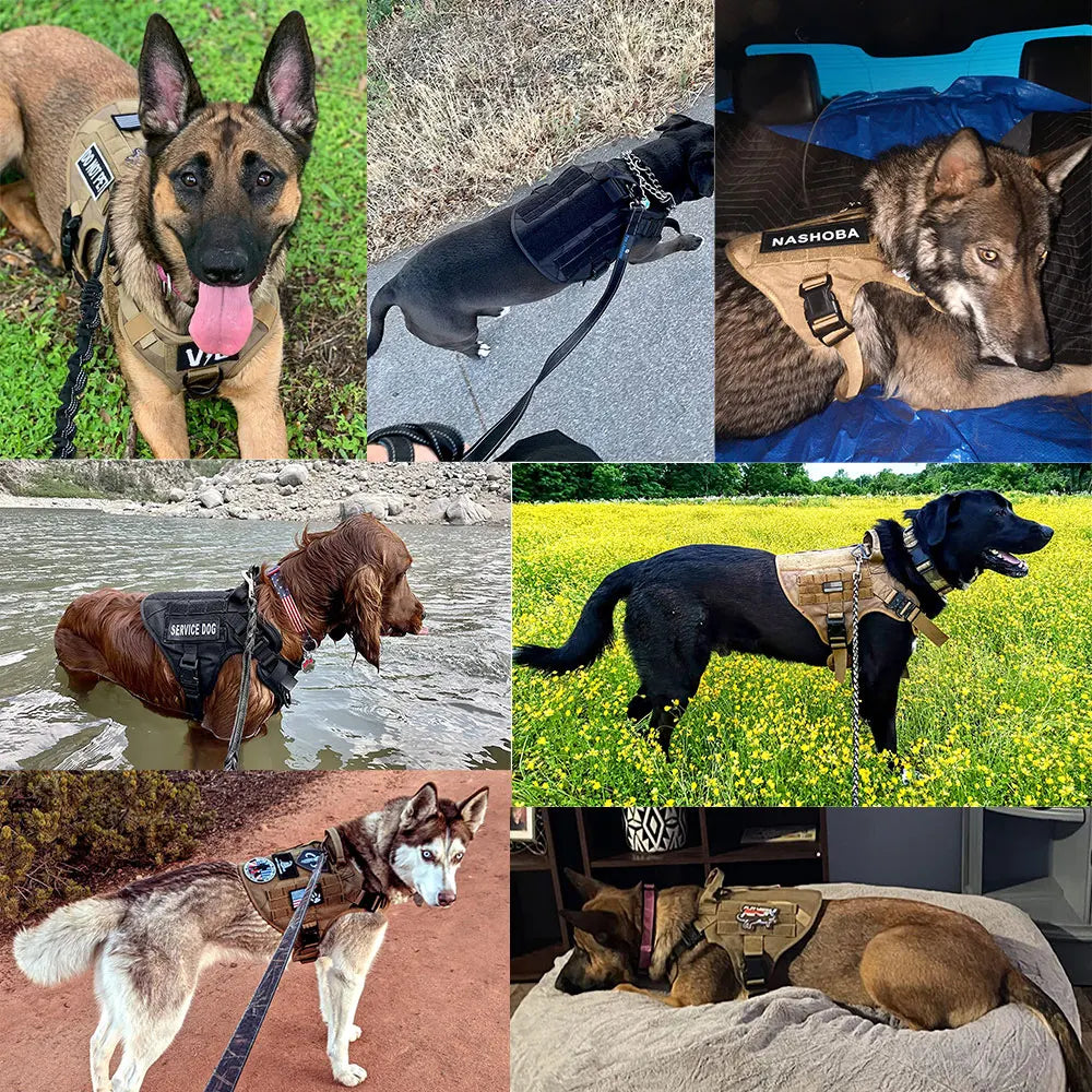 Conjunto de coleira e guia para cães grandes, colete tático para pastor alemão, para cães pequenos