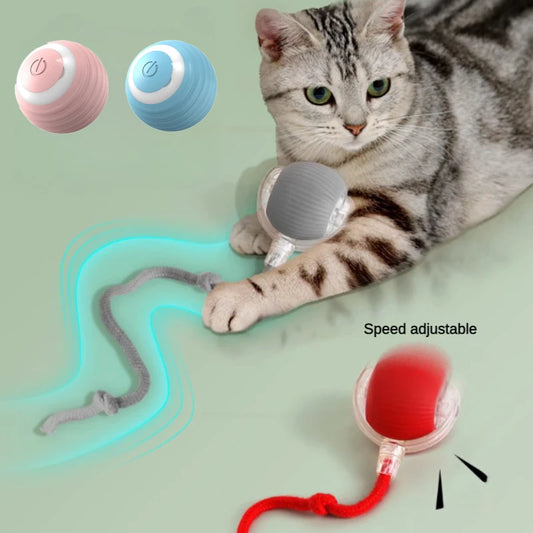 Novos brinquedos elétricos para gatos, bola rolante automática com provocador, brinquedo interativo para gatos com sensor inteligente e recarregável