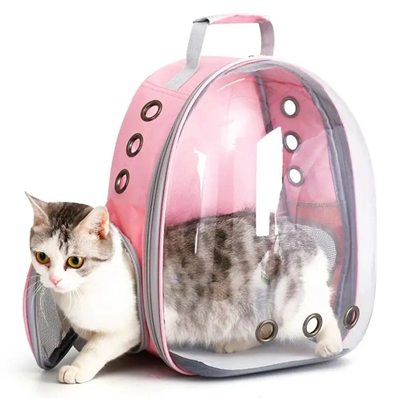 Mochila para transporte de animais de estimação, cápsula transparente, mochila para animais de estimação, filhotes, gatinhos, pássaros, transportadora respirável para viagem