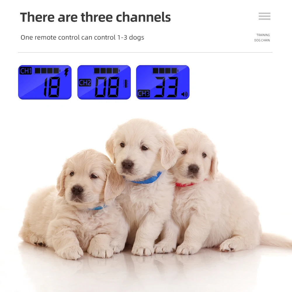 800m Dog Training Collar Remote Electronic Shock Training Collars Rechargeable Waterproof Stop Barking Dog Training Nylon rope