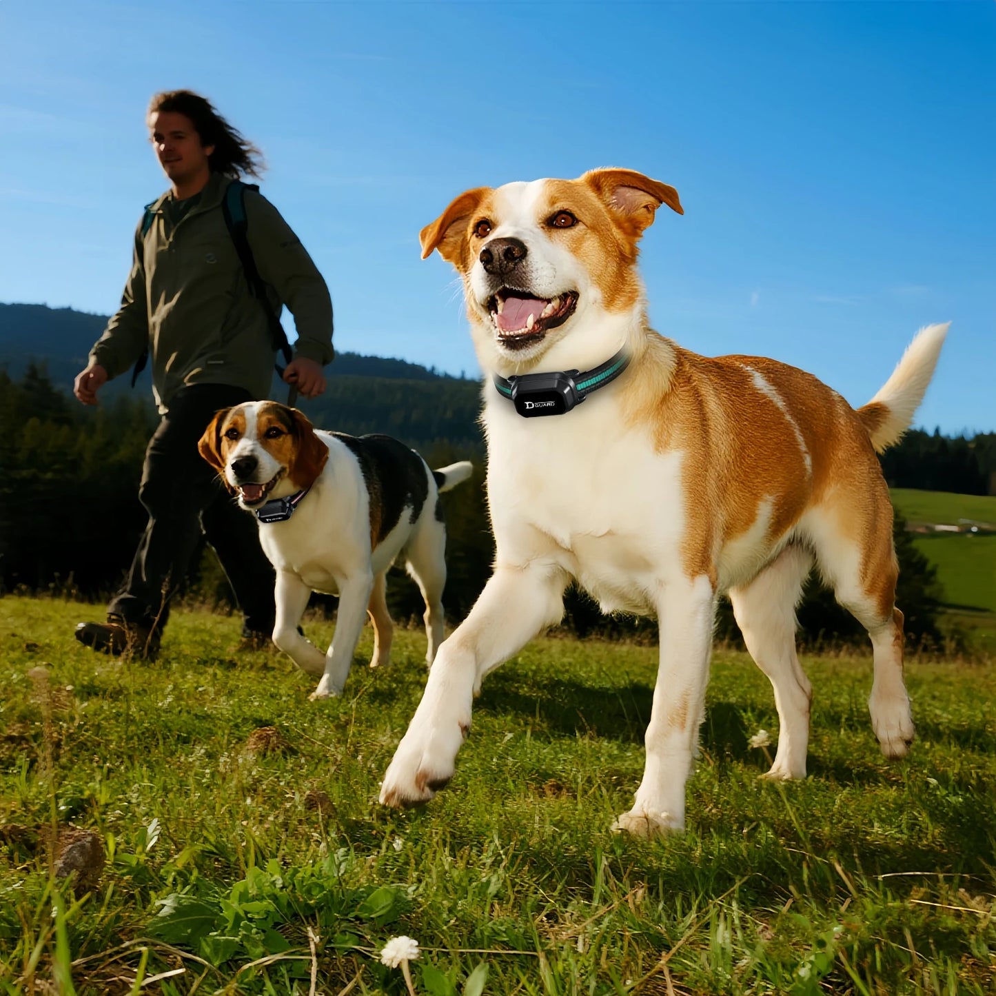 Anti-barking device Remote Control Training Collar For Pet Rechargeable Dog Bark Control Stop Shock Collar Suitable for all dogs