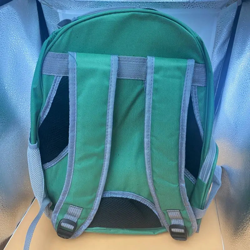 Mochila para transporte de animais de estimação Capsule Bubble, mochila transparente para transporte de animais de estimação, filhotes, gatinhos, pássaros, respirável para viagem