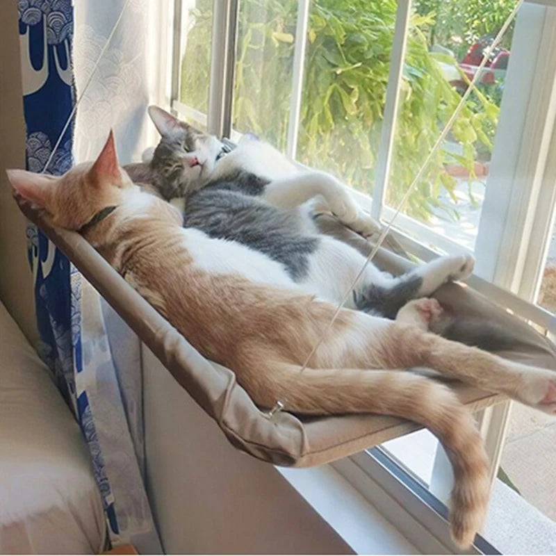 Rede para gatos, cama suspensa aérea para gatos, casa para gatos, estrutura de escalada para gatinhos, assento de janela ensolarado, ninho com capacidade para 20 kg, acessórios para animais de estimação