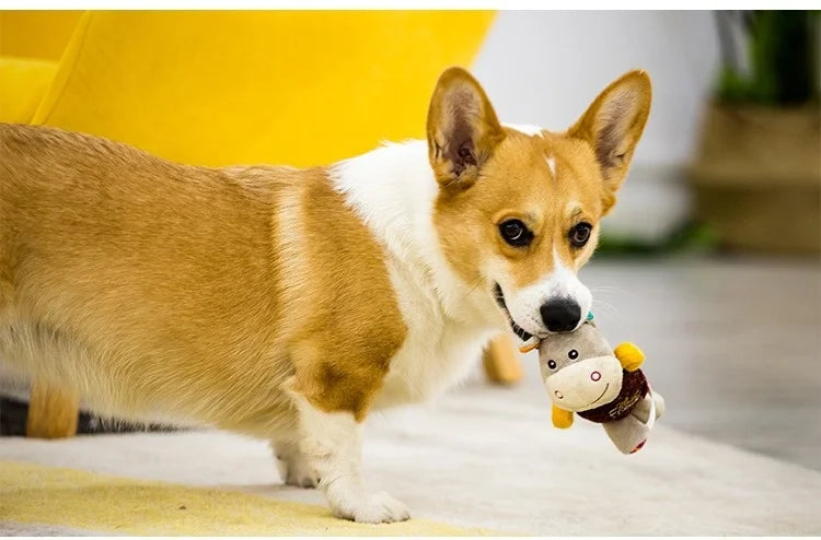Brinquedo de pelúcia para cachorro GiGwi, série Honour, boneco com chamada de voz, alivia o tédio, cachorro de pequeno e médio porte, brinquedo com som para presente