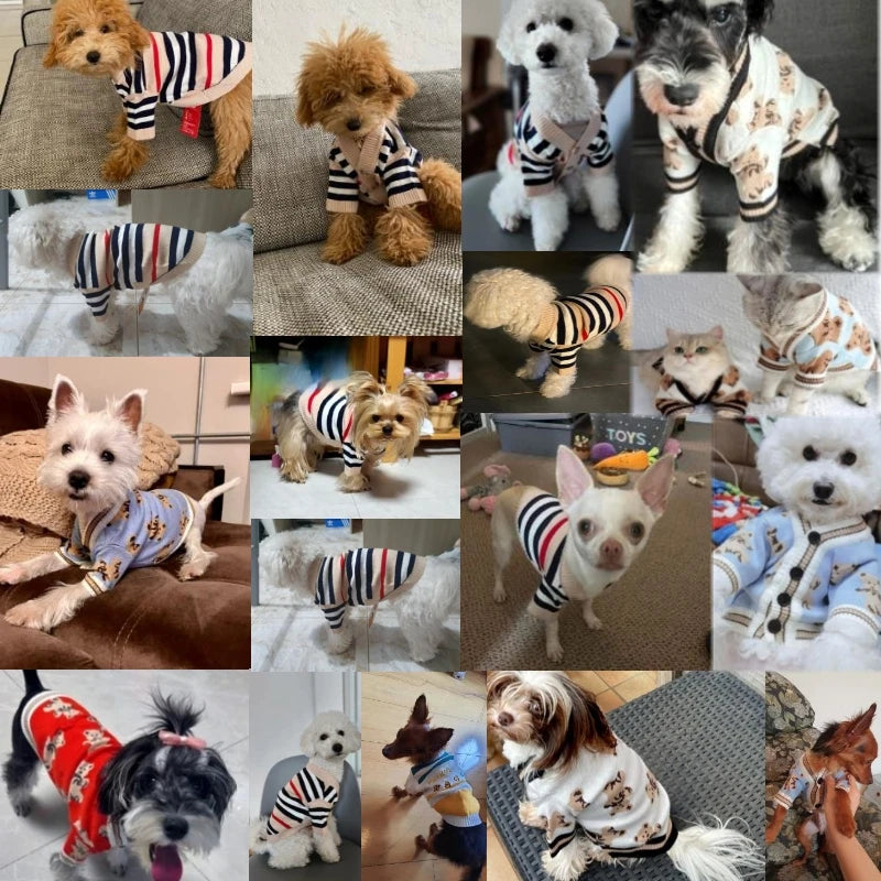 Roupas de luxo para cães Chihuahua Pet Cardigan listrado Suéter Bichon Frise Filhote de cachorro Gatinho Cachorro Casaco quente Acessórios para cães Gatos Roupa para animais de estimação
