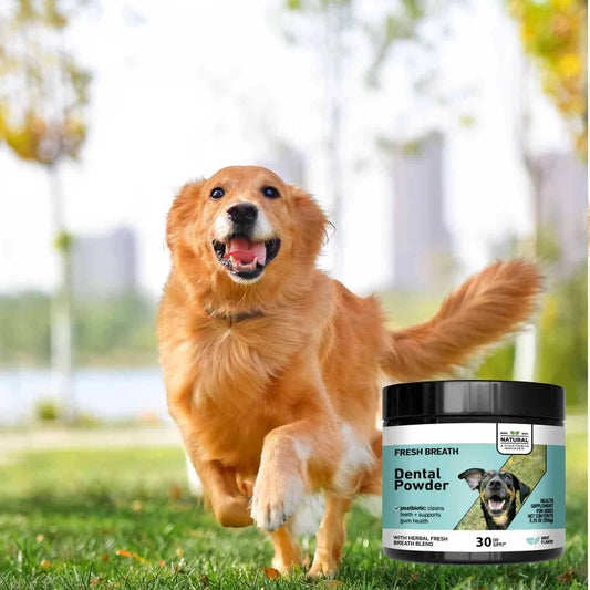 Pó de limpeza dental 80g para cães e gatos, limpeza bucal, limpeza dos dentes, mau hálito, mau hálito de animais de estimação, pó de limpeza dental
