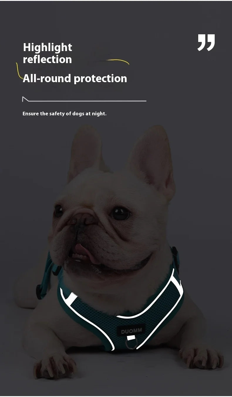 Conjunto de coleira para cães, pequeno, médio, cão, gato, peitoral ajustável, refletivo, respirável, colete de treinamento para caminhada, acessórios para animais de estimação