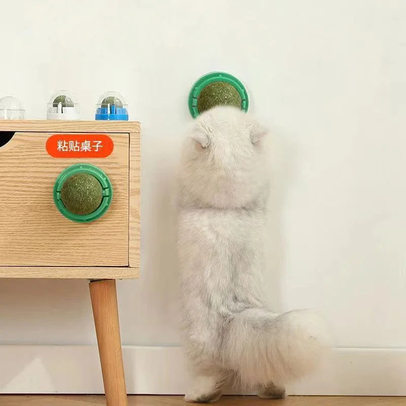 Brinquedo adesivo de parede para gatos Catnip, bola arranhadora, petiscos saudáveis ​​e naturais, remove bolas para promover a digestão, petisco de grama para gatos