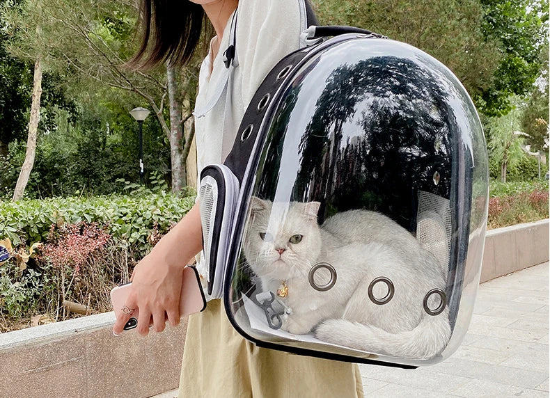 Bolsa de transporte para gatos e animais de estimação, mochilas para animais de estimação, respirável, portátil, transparente, bolsa de transporte para filhotes e cães, cápsula espacial
