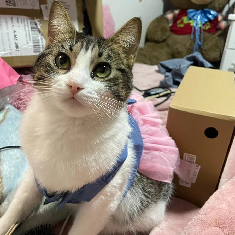 1 peça roupa de verão para animais de estimação chihuahua saia listrada vestido de renda para animais de estimação vestido para cachorro saia de renda arreios filhote gato princesa roupa filhote fofo