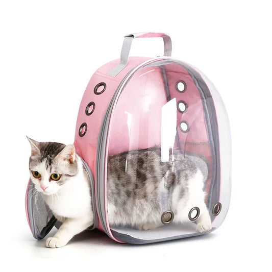 Bolsa de viagem transparente para gatos, mochila portátil para gatos, filhotes, bolsa respirável para levar suprimentos para animais de estimação