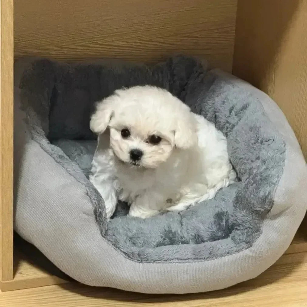 Cama macia e quente para cães, cesta para animais de estimação, casa para gatos, sofá para cães de médio e grande porte, almofada para cama de cachorro, casa para animais de estimação, acessórios e suprimentos 2025novo