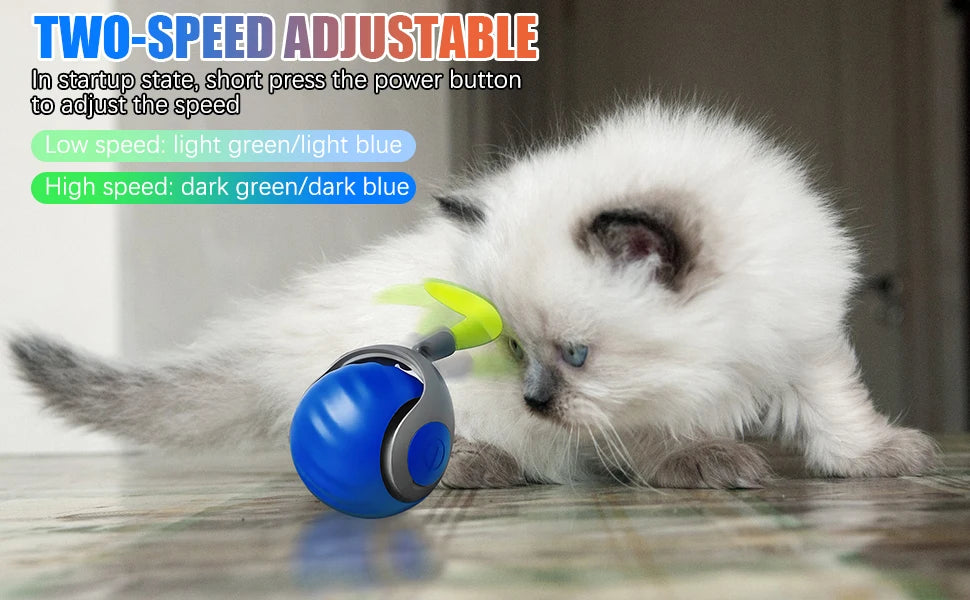 Novos brinquedos interativos para gatos, bola elétrica automática com rolamento, brinquedo para gatos, gatinhos, animais de estimação, provocador automático inteligente, brinquedo recarregável por USB para gatos