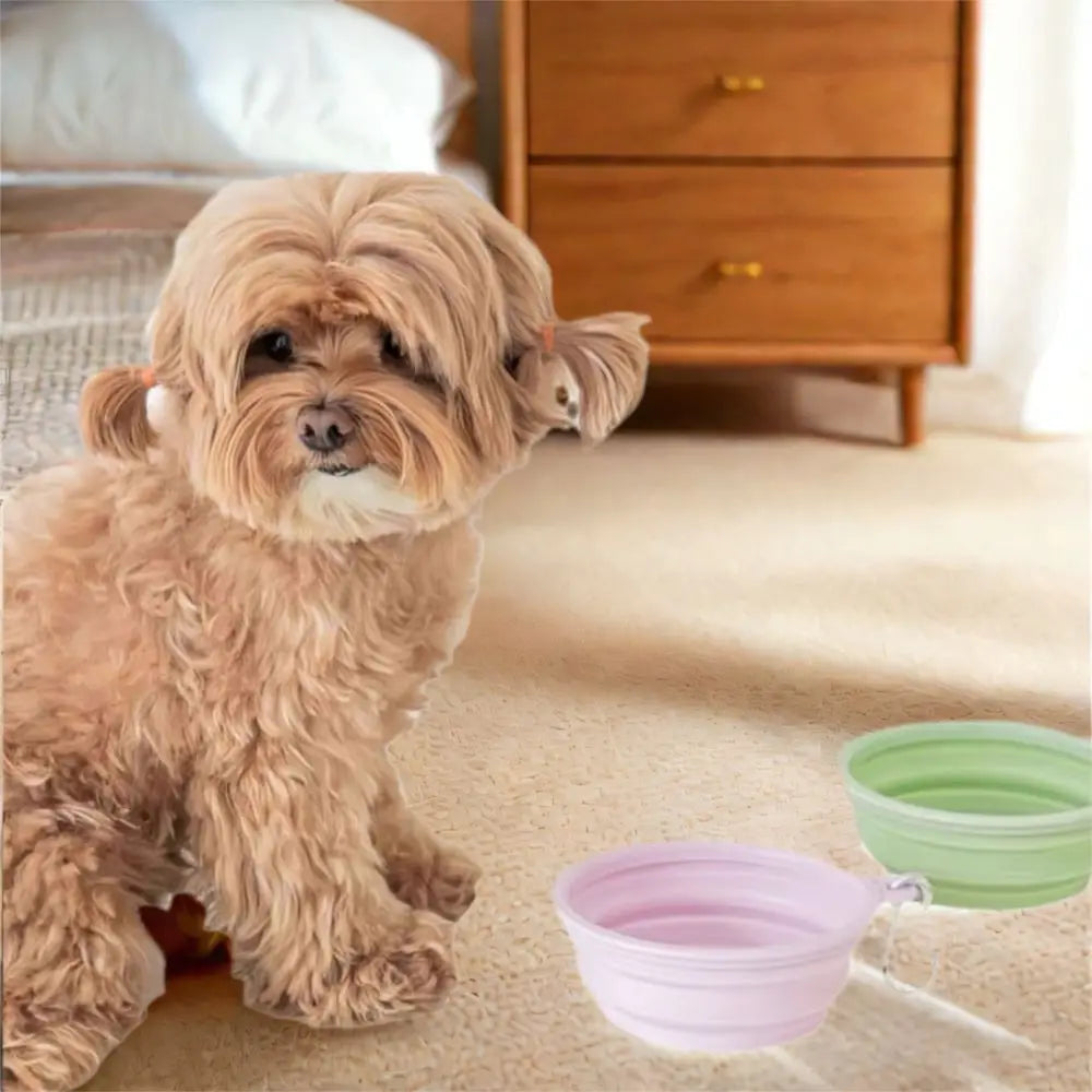 Tigela de macaron para animais de estimação 350ml TPE com padrão de desenho animado, tigela de alimentação para filhotes dobrável com furos para pendurar, tigela portátil para animais de estimação para cães e gatos