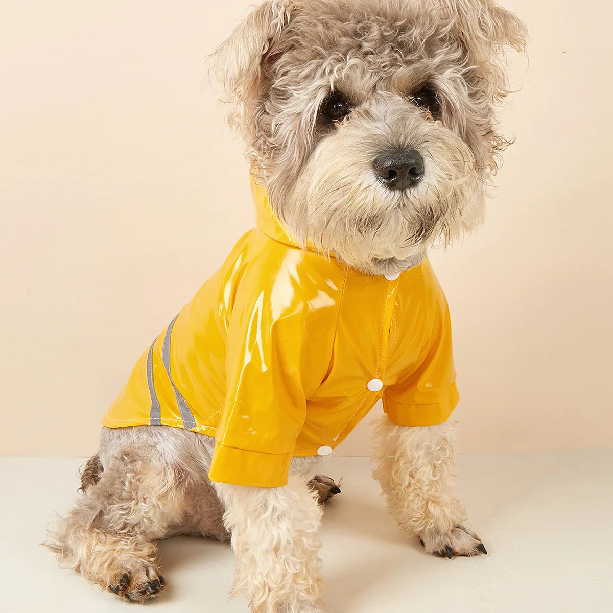 Capa de chuva para cachorro pequeno, impermeável e refletiva, à prova de vento, para cachorros e gatos, capa de chuva para chihuahua, bulldog, animais de estimação, capa, poncho, roupas