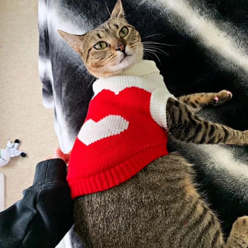 Suéter de Natal para Cachorro e Gato, Pulôver, Roupas de Inverno para Cachorros Pequenos, Chihuahua, Yorkies, Jaqueta para Filhotes, Roupas para Animais de Estimação, ubranka dla psa