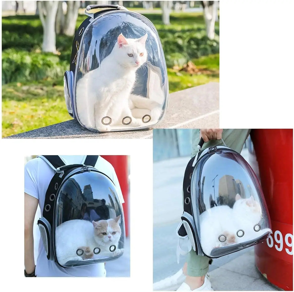 Mochila para transporte de animais de estimação, cápsula transparente, mochila para animais de estimação, filhotes, gatinhos, pássaros, transportadora respirável para viagem