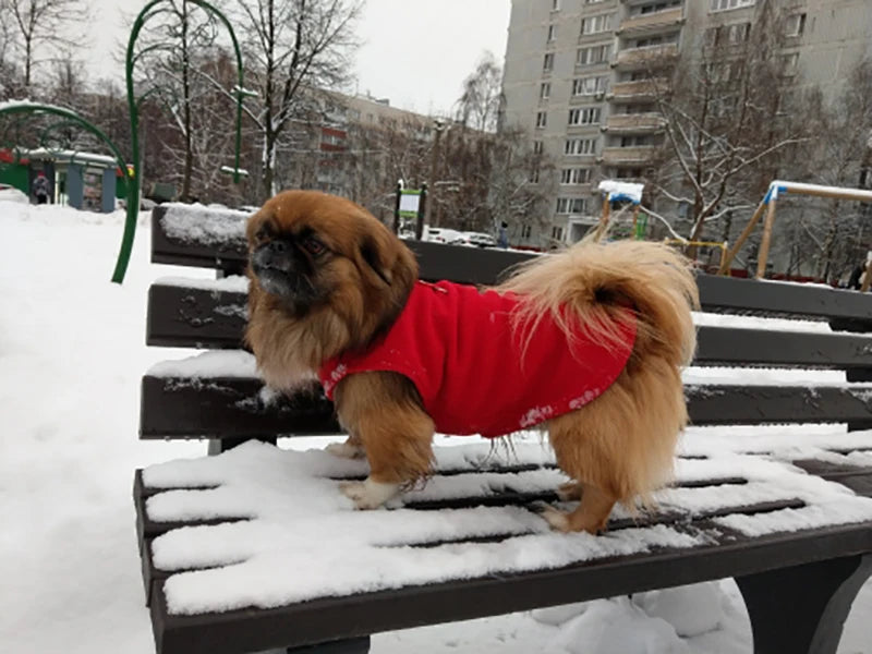 Roupas de inverno quentes de lã para cães, jaqueta macia para animais de estimação, colete com argola em D para filhotes pequenos, casaco para gatos, chihuahua, buldogue francês, fantasia de pug