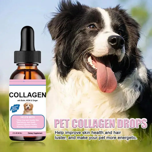Gotas de colágeno para animais de estimação para cães e gatos, suplemento nutricional saudável que protege a pelagem e melhora a condição corporal, solução nutricional para animais de estimação