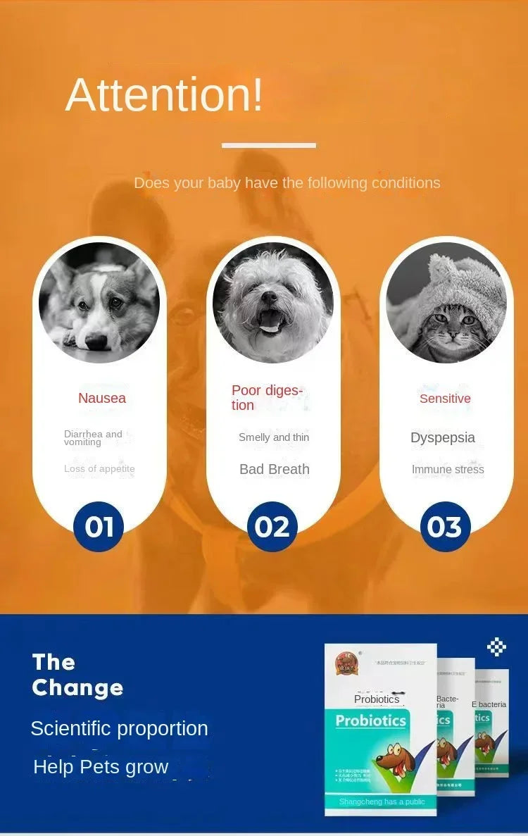 Probióticos para animais de estimação regulam o estômago e aumentam o apetite em gatos e cães, diarreia geral, constipação e vômito.