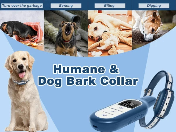 1000M Dog Training Collar 3 Training Modes Waterproof & Rechargeable Shock Collar With Remote Control dogs accessories 강아지