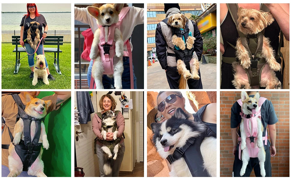 Mochilas de transporte frontal para animais de estimação, mochilas ajustáveis ​​com mãos livres para cães de pequeno e médio porte, respiráveis ​​e para gatos, bolsas de transporte para viagens ao ar livre