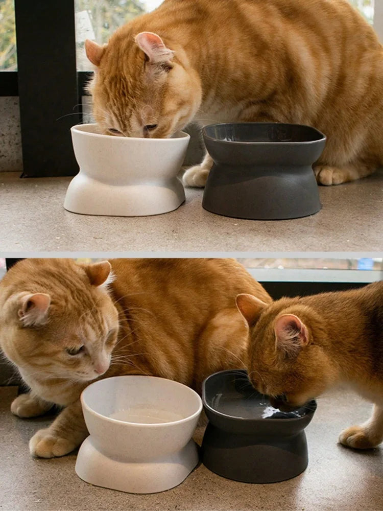 1 tigela para animais de estimação, alimentador de água e comida, para gatos e cães pequenos