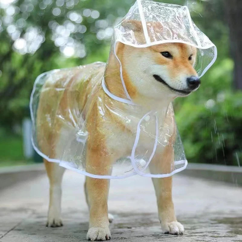 Capa de chuva transparente para cachorro e filhote, jaqueta impermeável com capuz, roupas de PVC macio, capa de chuva para cachorros pequenos